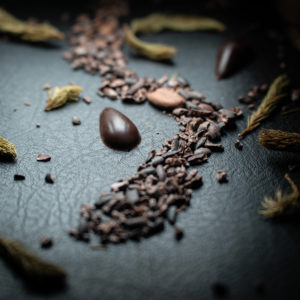 Balade en Forêt - Ecrin Découverte - 7 gouttes